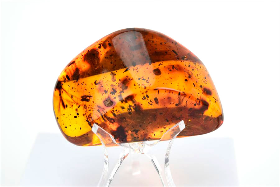 コロンビア産 虫入り 琥珀 アンバー コパル Copal Amber Insects Colombia ヤングアンバー タンブル