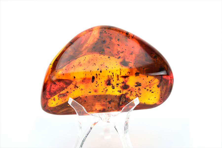 コロンビア産 虫入り 琥珀 アンバー コパル Copal Amber Insects Colombia ヤングアンバー タンブル