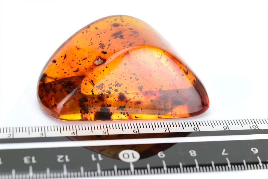 コロンビア産 虫入り 琥珀 アンバー コパル Copal Amber Insects Colombia ヤングアンバー タンブル