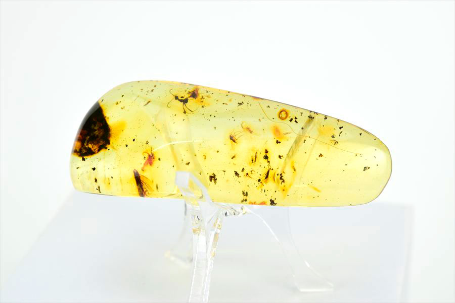 コロンビア産 虫入り 琥珀 アンバー コパル Copal Amber Insects Colombia ヤングアンバー タンブル
