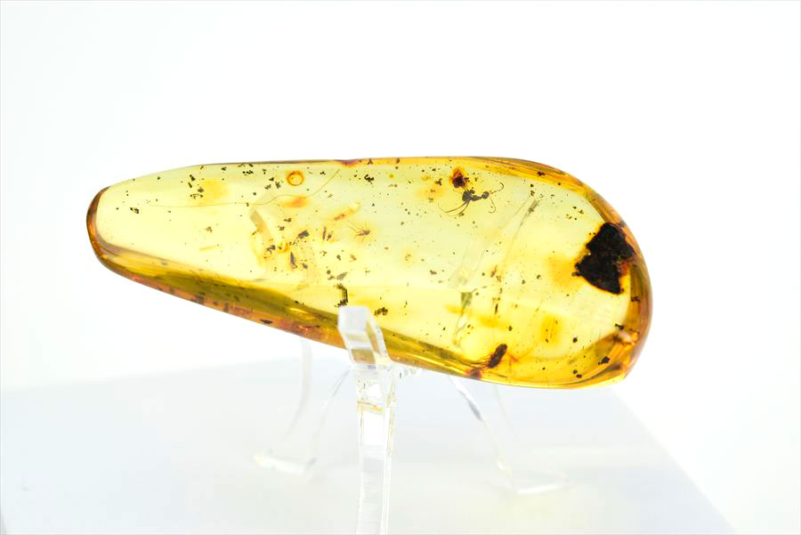 コロンビア産 虫入り 琥珀 アンバー コパル Copal Amber Insects Colombia ヤングアンバー タンブル