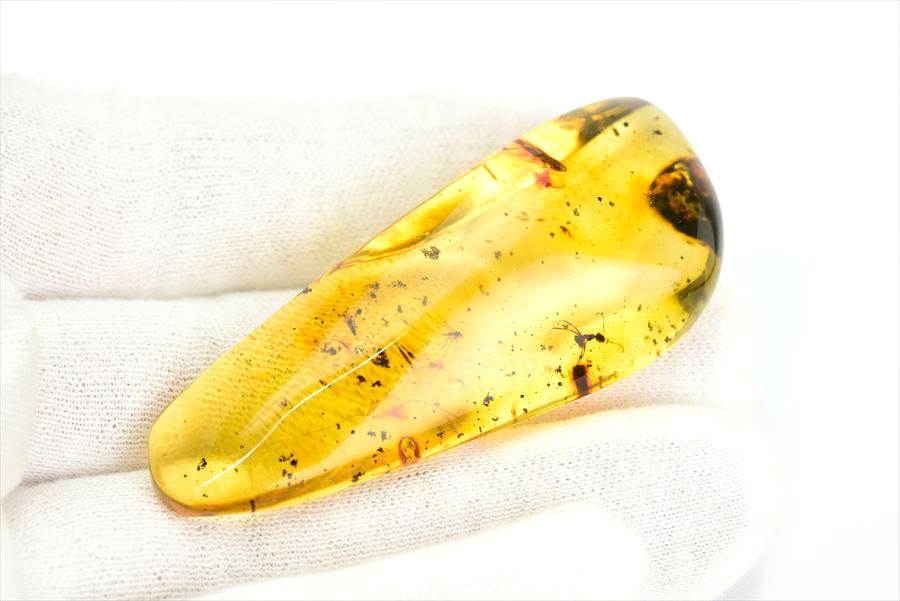 コロンビア産 虫入り 琥珀 アンバー コパル Copal Amber Insects Colombia ヤングアンバー タンブル