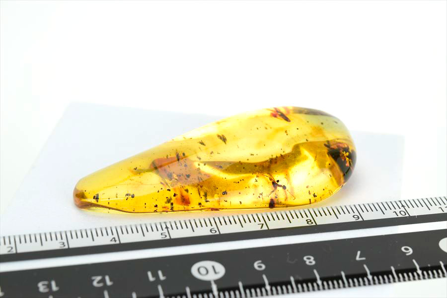 コロンビア産 虫入り 琥珀 アンバー コパル Copal Amber Insects Colombia ヤングアンバー タンブル