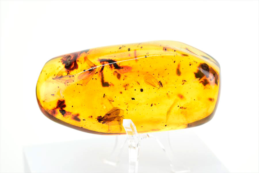 コロンビア産 虫入り 琥珀 アンバー コパル Copal Amber Insects Colombia ヤングアンバー タンブル