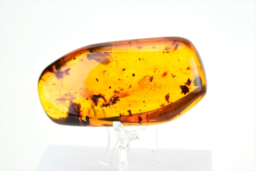コロンビア産 虫入り 琥珀 アンバー コパル Copal Amber Insects Colombia ヤングアンバー タンブル