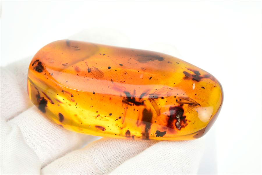 コロンビア産 虫入り 琥珀 アンバー コパル Copal Amber Insects Colombia ヤングアンバー タンブル