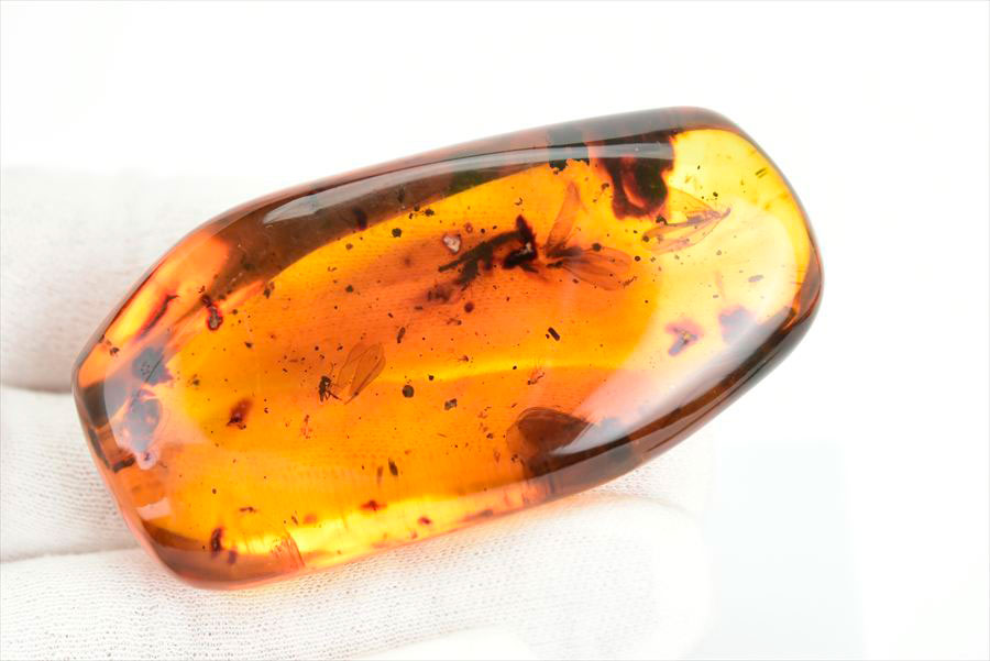 コロンビア産 虫入り 琥珀 アンバー コパル Copal Amber Insects Colombia ヤングアンバー タンブル