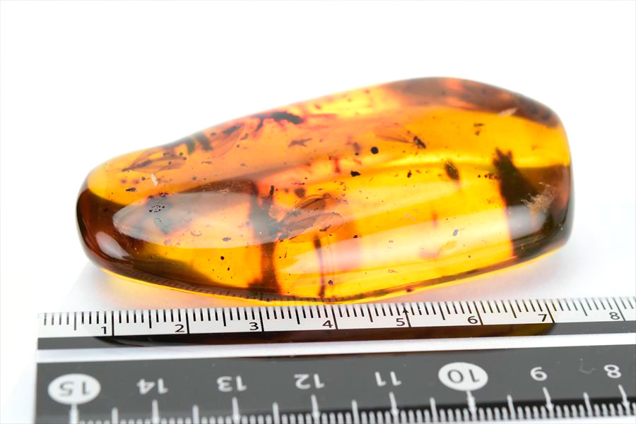 コロンビア産 虫入り 琥珀 アンバー コパル Copal Amber Insects Colombia ヤングアンバー タンブル