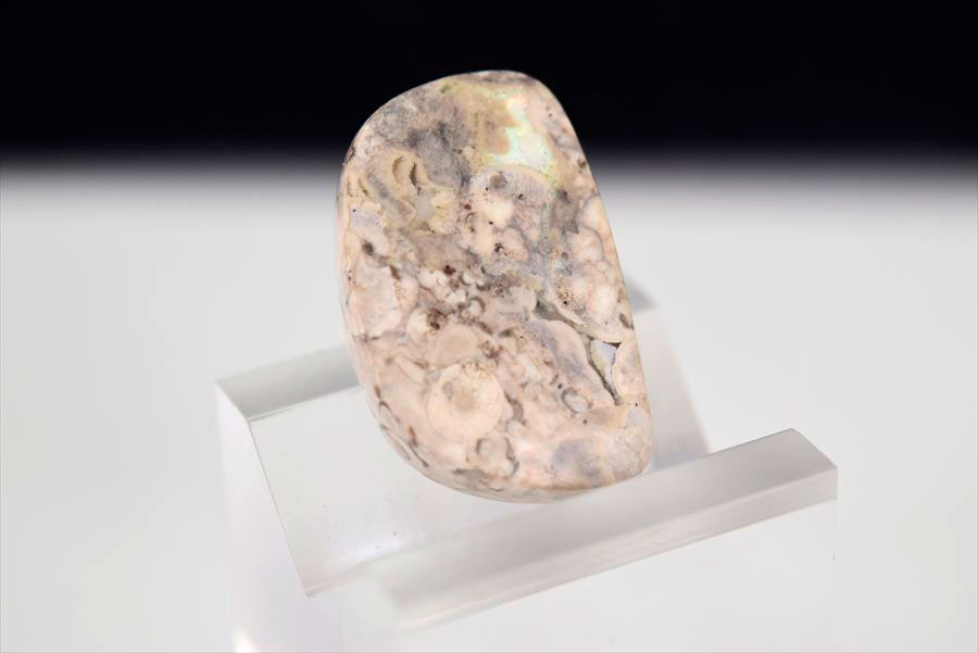 メキシコ マグダレナ カンテラオパール ルース タンブル 母岩オパール 遊色 Cantera Opal Magdalena