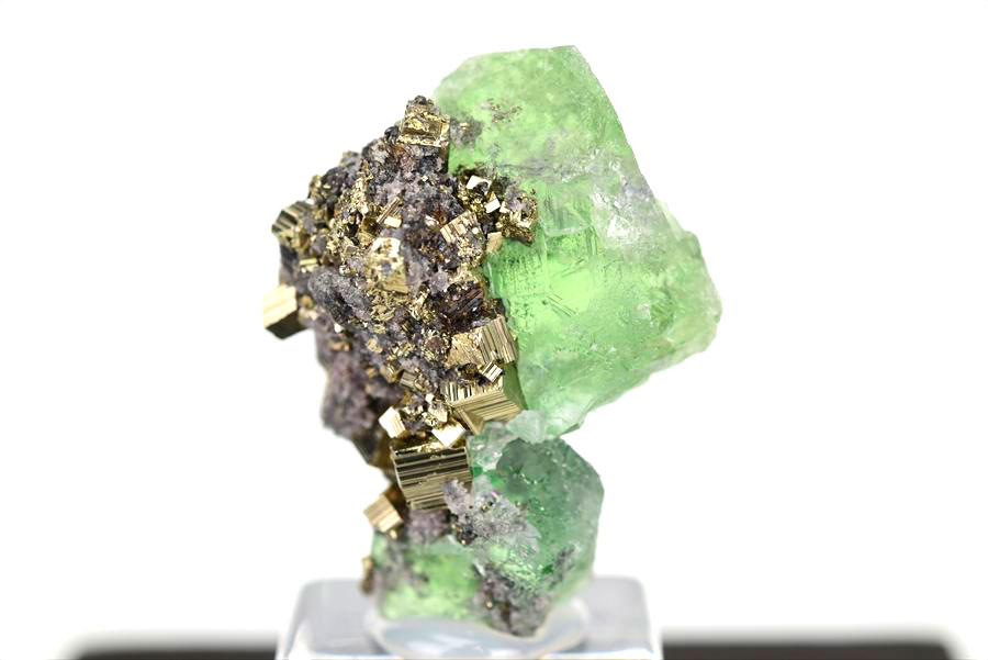 ペルー ミルポ鉱山　フローライト パイライト 共生 蛍光 鉱物 蛍石 黄鉄鉱 Milpo Peru fluorite pyrite