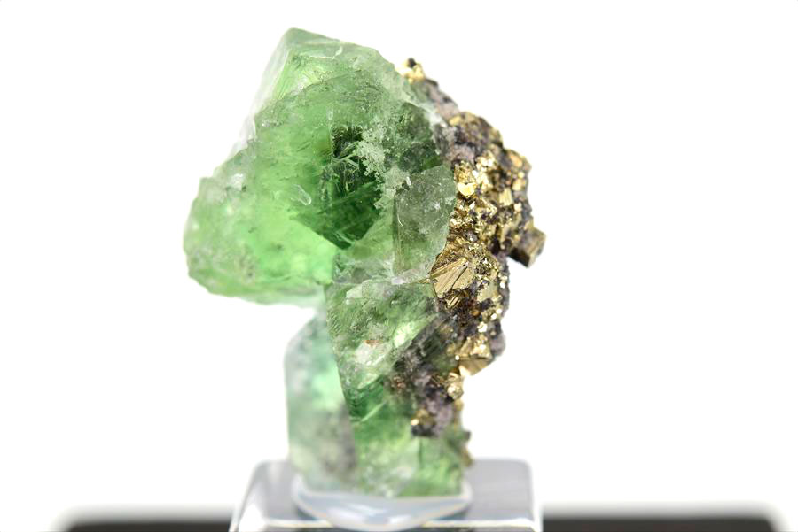 ペルー ミルポ鉱山　フローライト パイライト 共生 蛍光 鉱物 蛍石 黄鉄鉱 Milpo Peru fluorite pyrite