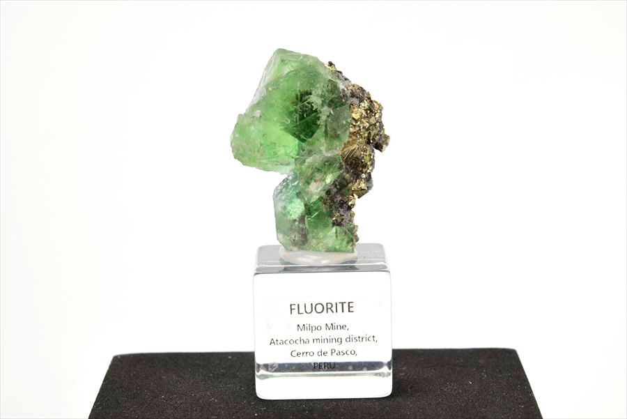 ペルー ミルポ鉱山　フローライト パイライト 共生 蛍光 鉱物 蛍石 黄鉄鉱 Milpo Peru fluorite pyrite