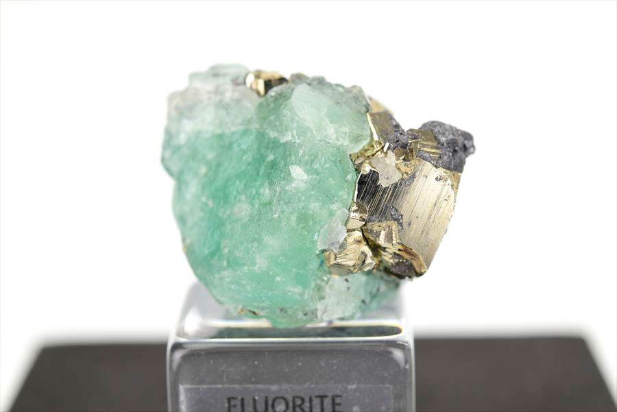 ペルー ミルポ鉱山　フローライト パイライト 共生 蛍光 鉱物 蛍石 黄鉄鉱 Milpo Peru fluorite pyrite