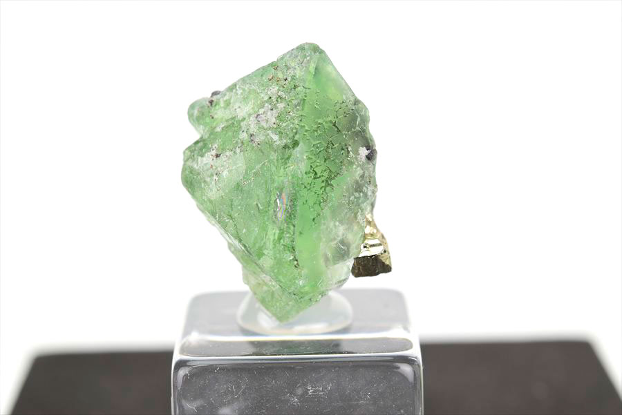 ペルー ミルポ鉱山　フローライト パイライト 共生 蛍光 鉱物 蛍石 黄鉄鉱 Milpo Peru fluorite pyrite