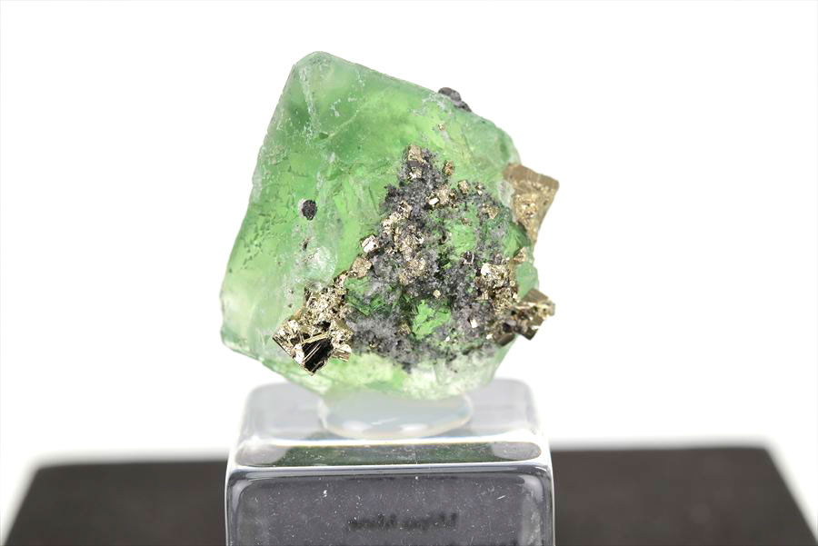 ペルー ミルポ鉱山　フローライト パイライト 共生 蛍光 鉱物 蛍石 黄鉄鉱 Milpo Peru fluorite pyrite