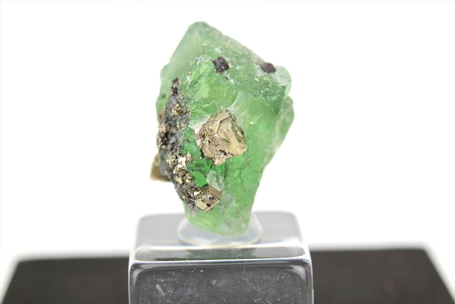 ペルー ミルポ鉱山　フローライト パイライト 共生 蛍光 鉱物 蛍石 黄鉄鉱 Milpo Peru fluorite pyrite