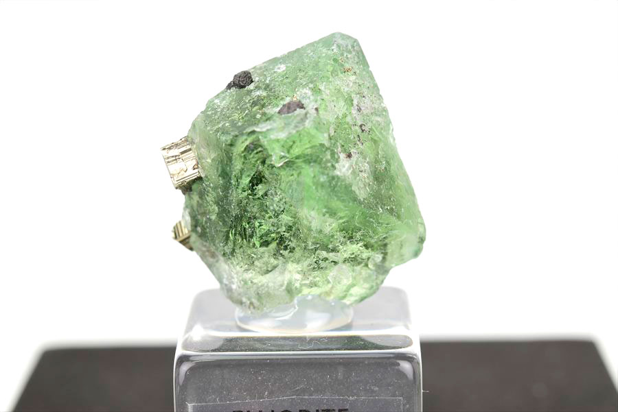 ペルー ミルポ鉱山　フローライト パイライト 共生 蛍光 鉱物 蛍石 黄鉄鉱 Milpo Peru fluorite pyrite