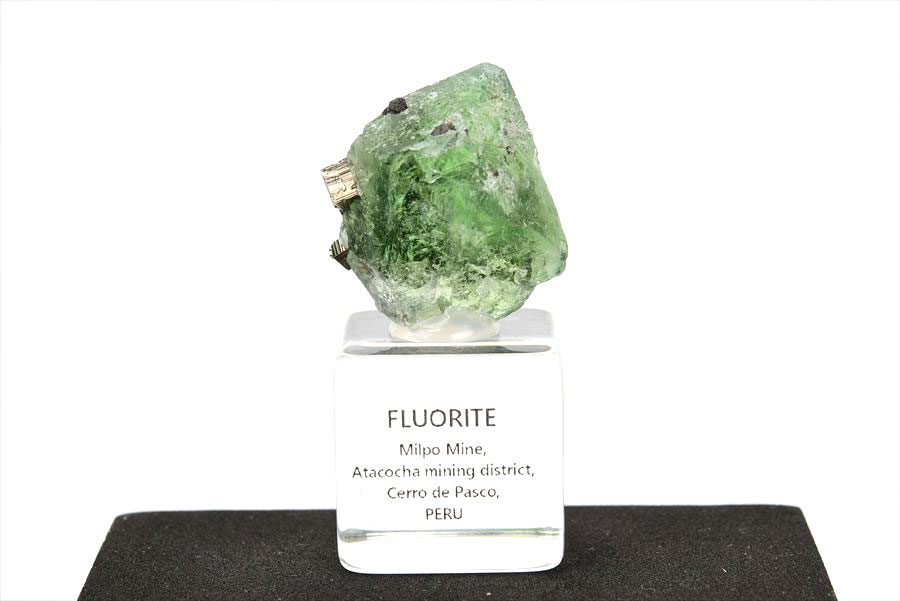 ペルー ミルポ鉱山　フローライト パイライト 共生 蛍光 鉱物 蛍石 黄鉄鉱 Milpo Peru fluorite pyrite