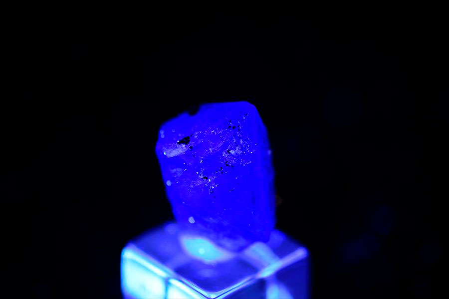 ペルー ミルポ鉱山　フローライト パイライト 共生 蛍光 鉱物 蛍石 黄鉄鉱 Milpo Peru fluorite pyrite