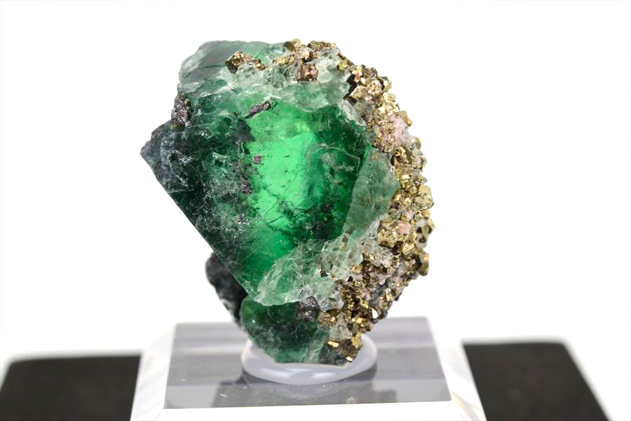 ペルー ミルポ鉱山　フローライト パイライト 共生 蛍光 鉱物 蛍石 黄鉄鉱 Milpo Peru fluorite pyrite