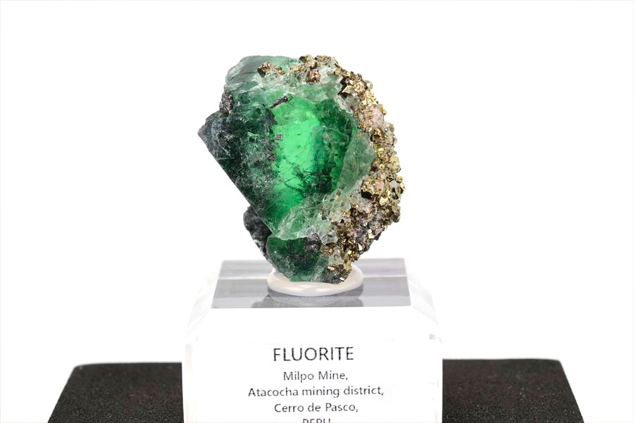 ペルー ミルポ鉱山　フローライト パイライト 共生 蛍光 鉱物 蛍石 黄鉄鉱 Milpo Peru fluorite pyrite