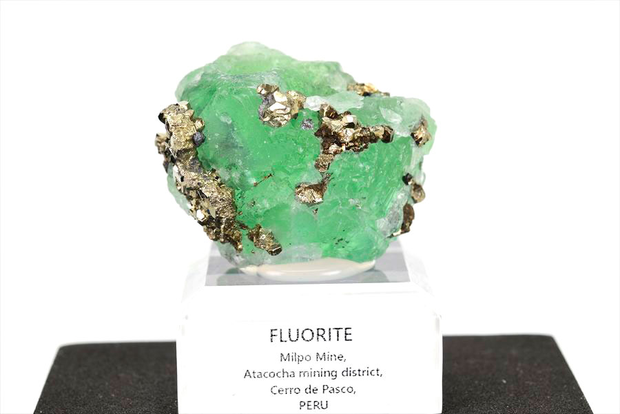 ペルー ミルポ鉱山　フローライト パイライト 共生 蛍光 鉱物 蛍石 黄鉄鉱 Milpo Peru fluorite pyrite
