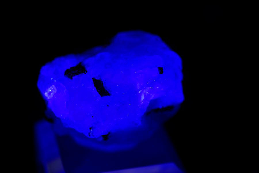 ペルー ミルポ鉱山　フローライト パイライト 共生 蛍光 鉱物 蛍石 黄鉄鉱 Milpo Peru fluorite pyrite