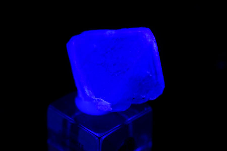 ペルー ミルポ鉱山　フローライト パイライト 共生 蛍光 鉱物 蛍石 黄鉄鉱 Milpo Peru fluorite pyrite