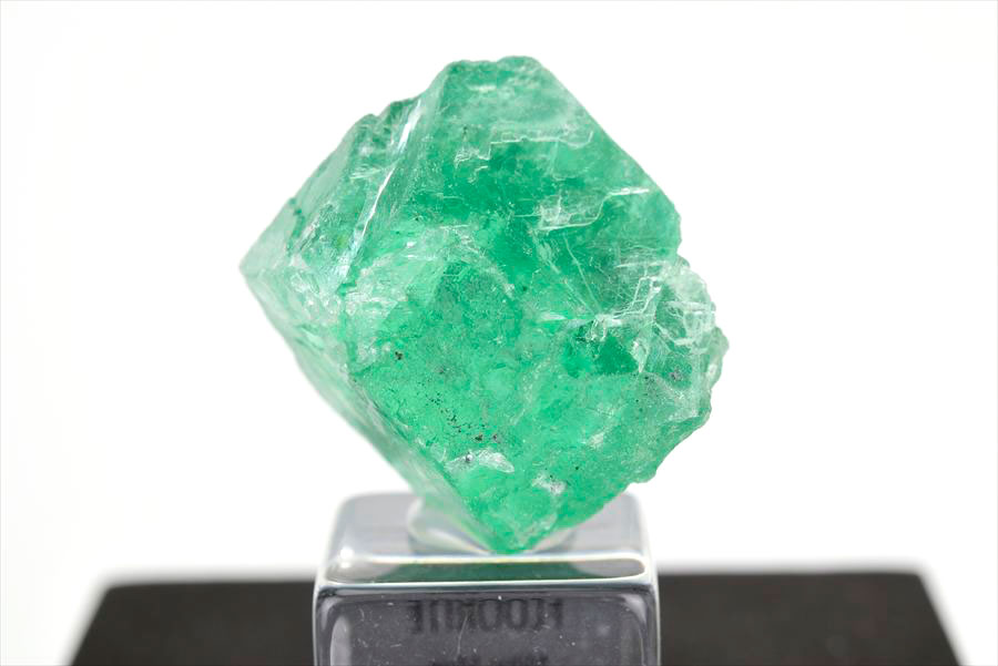ペルー ミルポ鉱山　フローライト パイライト 共生 蛍光 鉱物 蛍石 黄鉄鉱 Milpo Peru fluorite pyrite