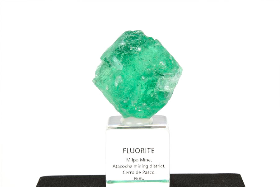 ペルー ミルポ鉱山　フローライト パイライト 共生 蛍光 鉱物 蛍石 黄鉄鉱 Milpo Peru fluorite pyrite