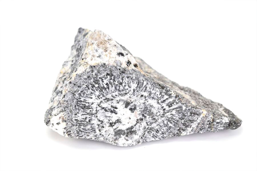 orbiculite オービキュラーグラナイト オービキュライト 花崗岩 黒雲母 角閃石 深成岩 置物 オーストラリア 天然石 原石