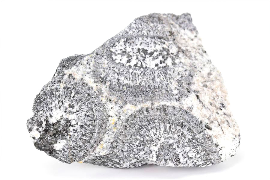orbiculite オービキュラーグラナイト オービキュライト 花崗岩 黒雲母 角閃石 深成岩 置物 オーストラリア 天然石 原石