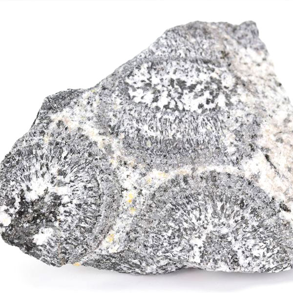 orbiculite オービキュラーグラナイト オービキュライト 花崗岩 黒雲母 角閃石 深成岩 置物 オーストラリア 天然石 原石