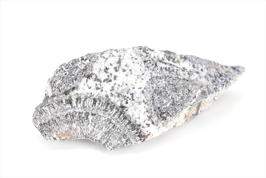 orbiculite オービキュラーグラナイト オービキュライト 花崗岩 黒雲母 角閃石 深成岩 置物 オーストラリア 天然石 原石