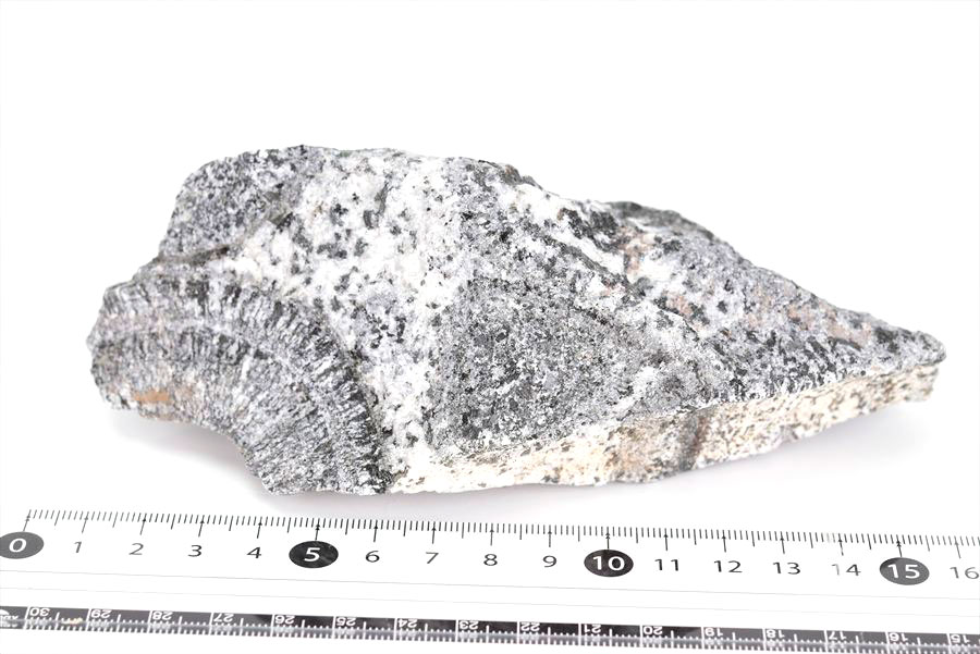 orbiculite オービキュラーグラナイト オービキュライト 花崗岩 黒雲母 角閃石 深成岩 置物 オーストラリア 天然石 原石