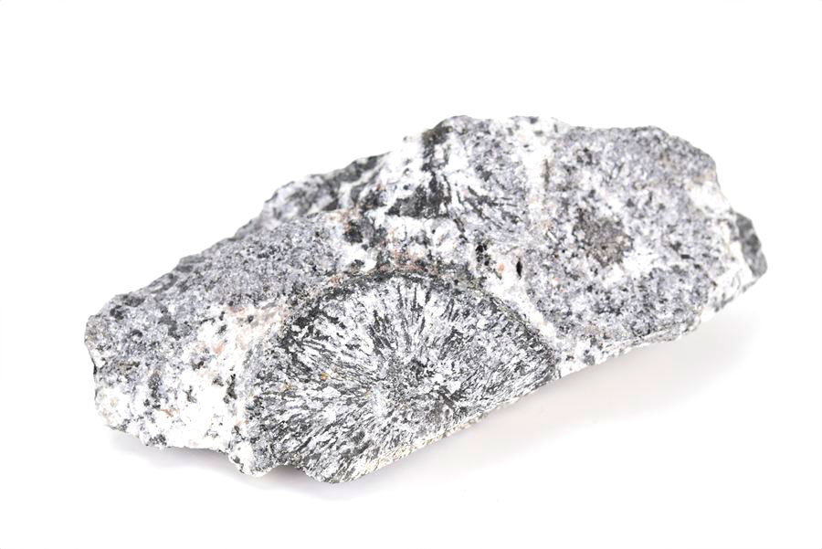 orbiculite オービキュラーグラナイト オービキュライト 花崗岩 黒雲母 角閃石 深成岩 置物 オーストラリア 天然石 原石