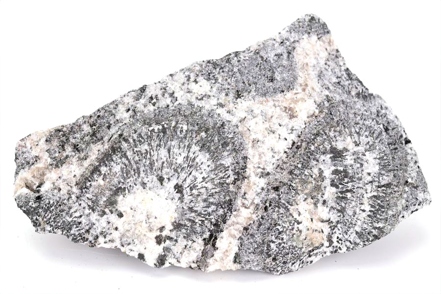orbiculite オービキュラーグラナイト オービキュライト 花崗岩 黒雲母 角閃石 深成岩 置物 オーストラリア 天然石 原石