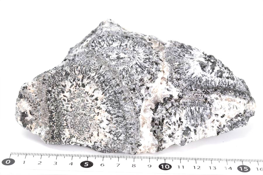 orbiculite オービキュラーグラナイト オービキュライト 花崗岩 黒雲母 角閃石 深成岩 置物 オーストラリア 天然石 原石