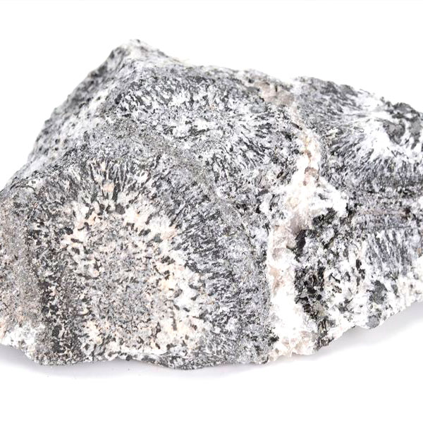 orbiculite オービキュラーグラナイト オービキュライト 花崗岩 黒雲母 角閃石 深成岩 置物 オーストラリア 天然石 原石