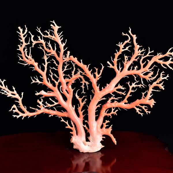 桃色珊瑚の置物 アンティーク-