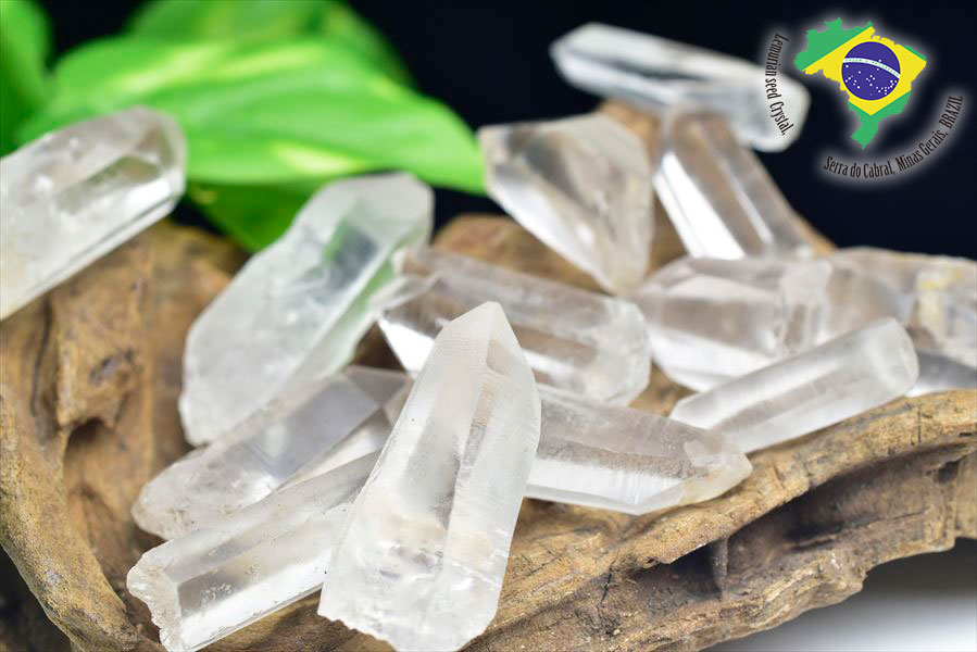 レムリアンシード ポイント 原石 単結晶 セラデカブラル 詰め合わせ lemurian cabral 天然石 パワーストーン
