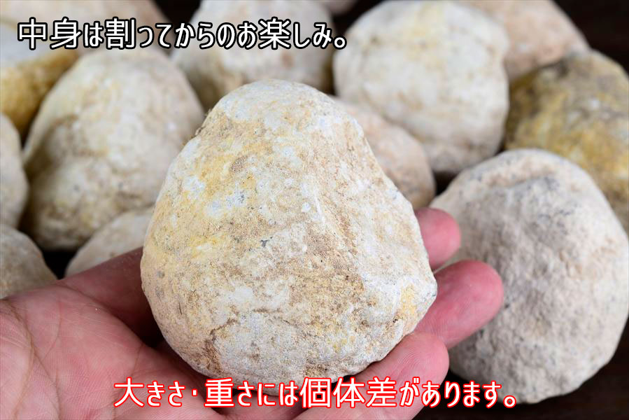 割れてないジオード 割れていないジオード メキシコ産 水晶ジオード 晶洞 クラスター 浄化 原石 天然石 パワーストーン