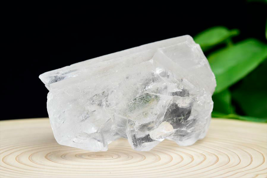 レムリアンシード　レムリアンルーツ　ブラジル　バイーア　lemurianroot　lemurianseed　root of lemurian　天然水晶　結晶　原石　天然石　パワーストーン