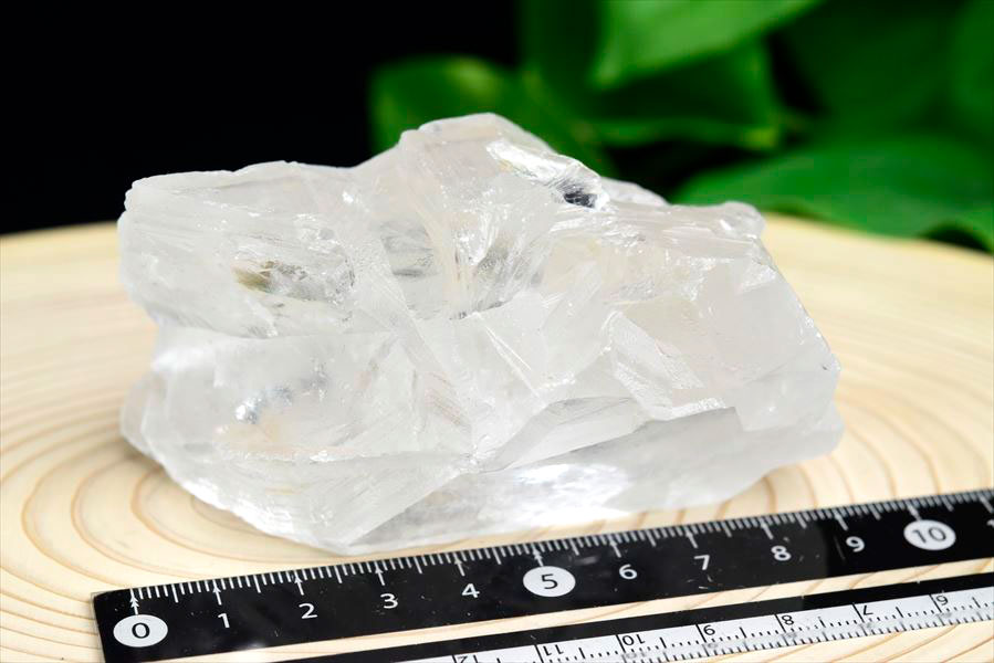 レムリアンシード　レムリアンルーツ　ブラジル　バイーア　lemurianroot　lemurianseed　root of lemurian　天然水晶　結晶　原石　天然石　パワーストーン