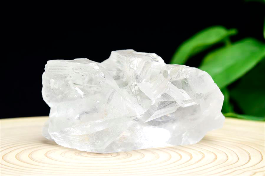 レムリアンシード　レムリアンルーツ　ブラジル　バイーア　lemurianroot　lemurianseed　root of lemurian　天然水晶　結晶　原石　天然石　パワーストーン