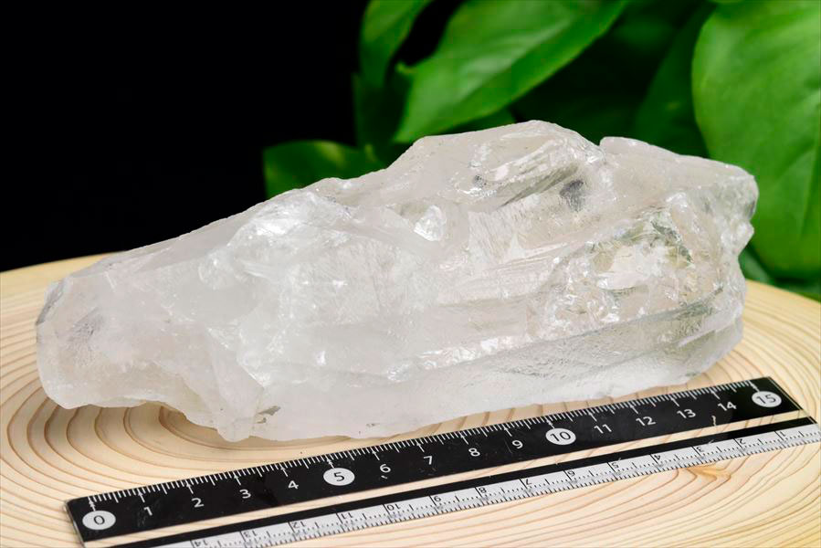 レムリアンシード　レムリアンルーツ　ブラジル　バイーア　lemurianroot　lemurianseed　root of lemurian　天然水晶　結晶　原石　天然石　パワーストーン