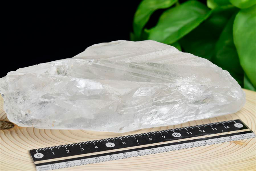 レムリアンシード　レムリアンルーツ　ブラジル　バイーア　lemurianroot　lemurianseed　root of lemurian　天然水晶　結晶　原石　天然石　パワーストーン