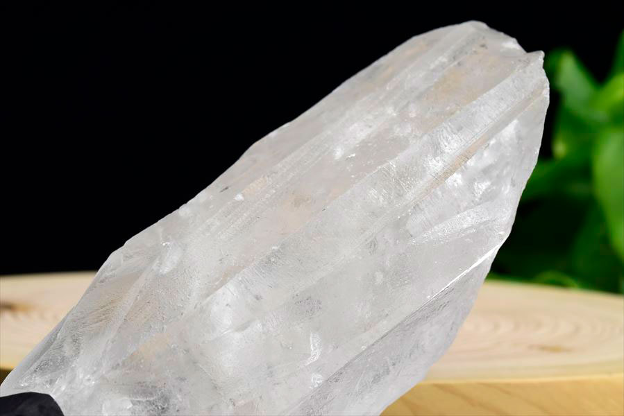 レムリアンシード　レムリアンルーツ　ブラジル　バイーア　lemurianroot　lemurianseed　root of lemurian　天然水晶　結晶　原石　天然石　パワーストーン