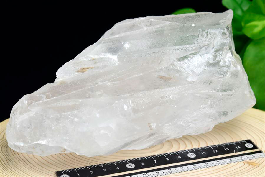 レムリアンシード　レムリアンルーツ　ブラジル　バイーア　lemurianroot　lemurianseed　root of lemurian　天然水晶　結晶　原石　天然石　パワーストーン