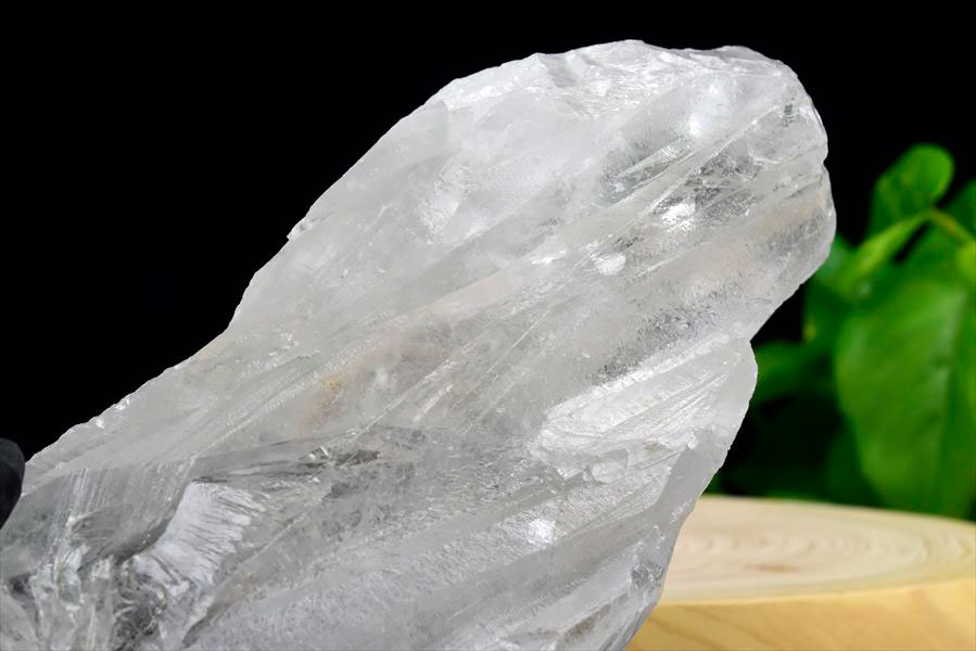 レムリアンシード　レムリアンルーツ　ブラジル　バイーア　lemurianroot　lemurianseed　root of lemurian　天然水晶　結晶　原石　天然石　パワーストーン